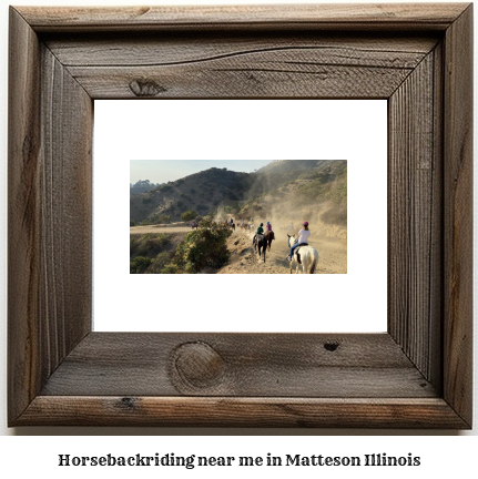 horseback riding near me in Matteson, Illinois